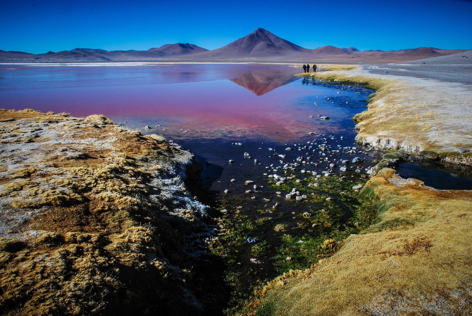 body of water during daytime